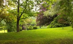 20120614_111146.jpg