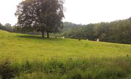 20120614_111812.jpg