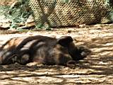 IMG_1779.JPG